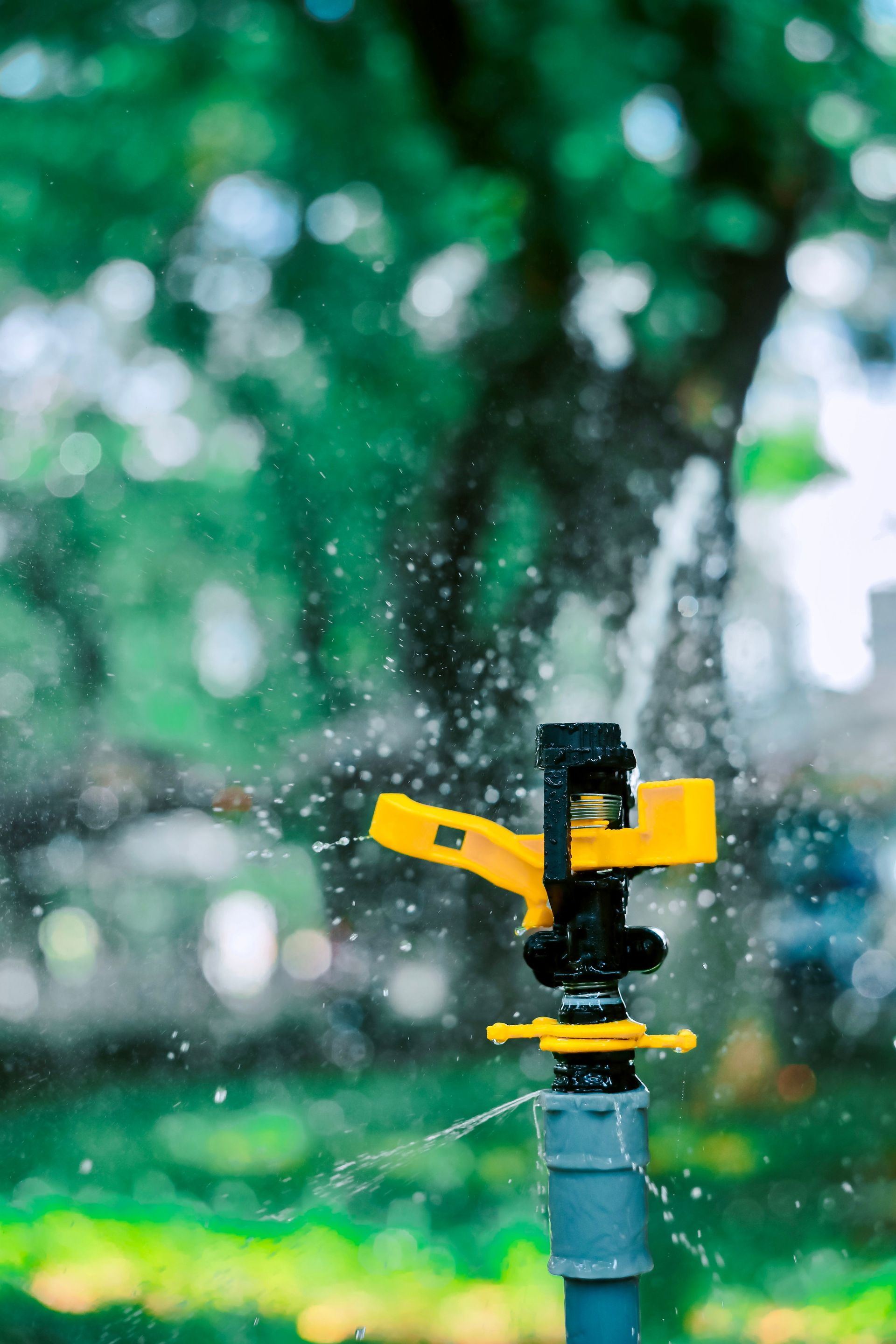 Vivid shot of a garden sprinkler watering trees with water droplets glistening in sunlight.